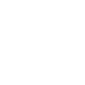 Ase Certified Logo White